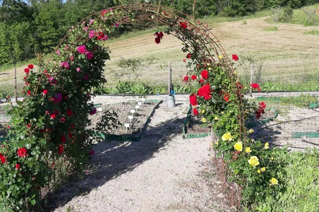 Villa Montecristo Country House Marsiliana