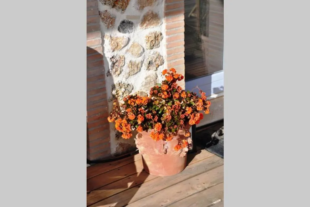 Montecristo Country House Marsiliana 0*,  Italy