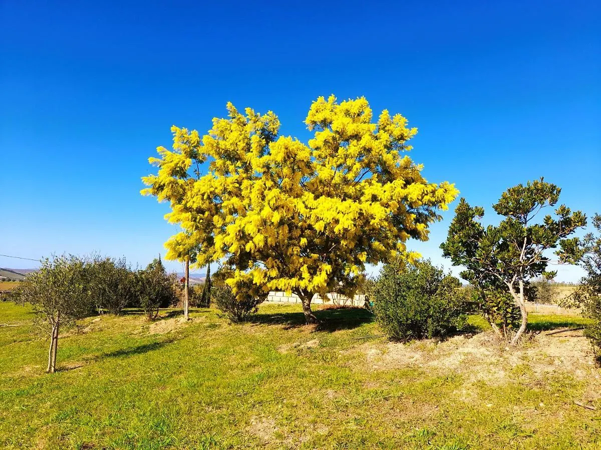 Montecristo Country House Marsiliana